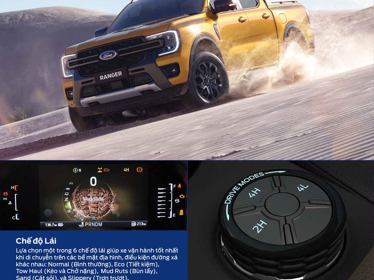 AW_Brochure-Ranger-12p_2023_Web_VN_Update-5